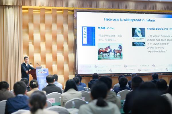 薯类作物青年科学家论坛在云南召开